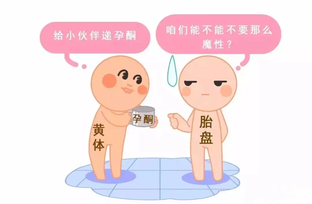 HCG和孕酮低一定會流產？備孕女性必須知道的孕早期“秘密”